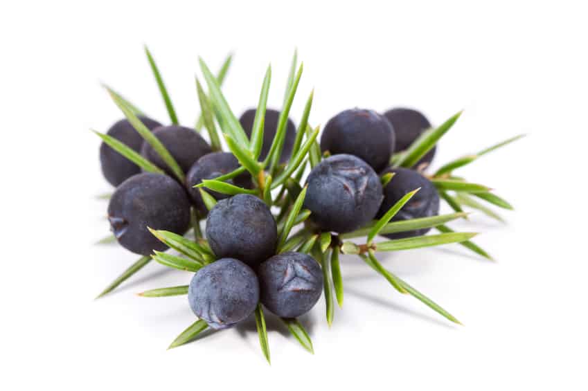 iStock_000014920441_Small