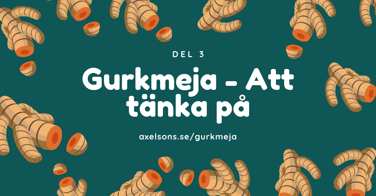 Gurkmeja del 3 - Att tänka på