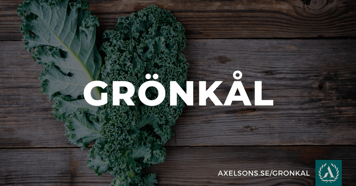 Grönkål