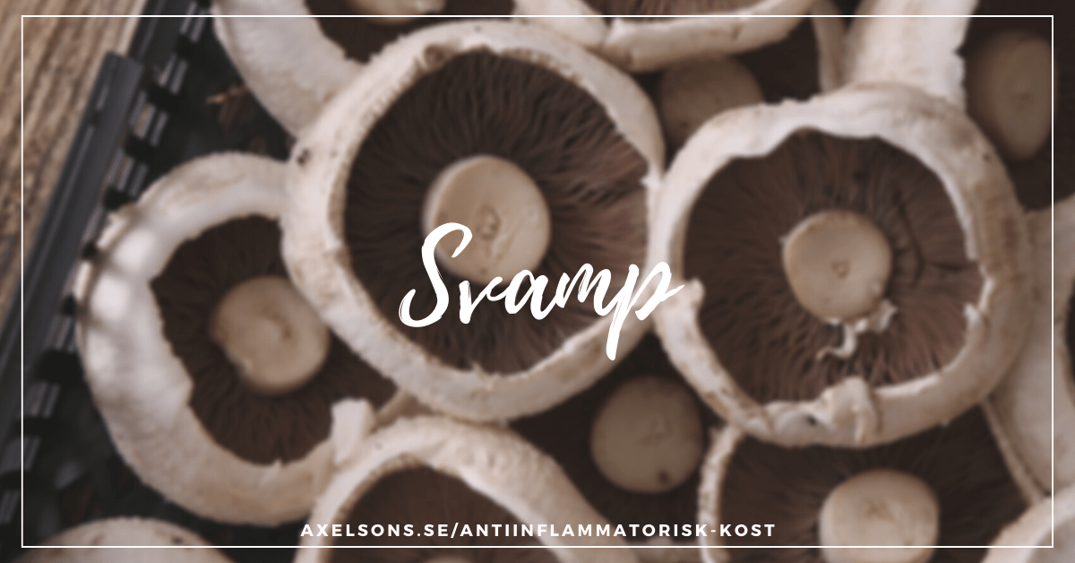 Svamp