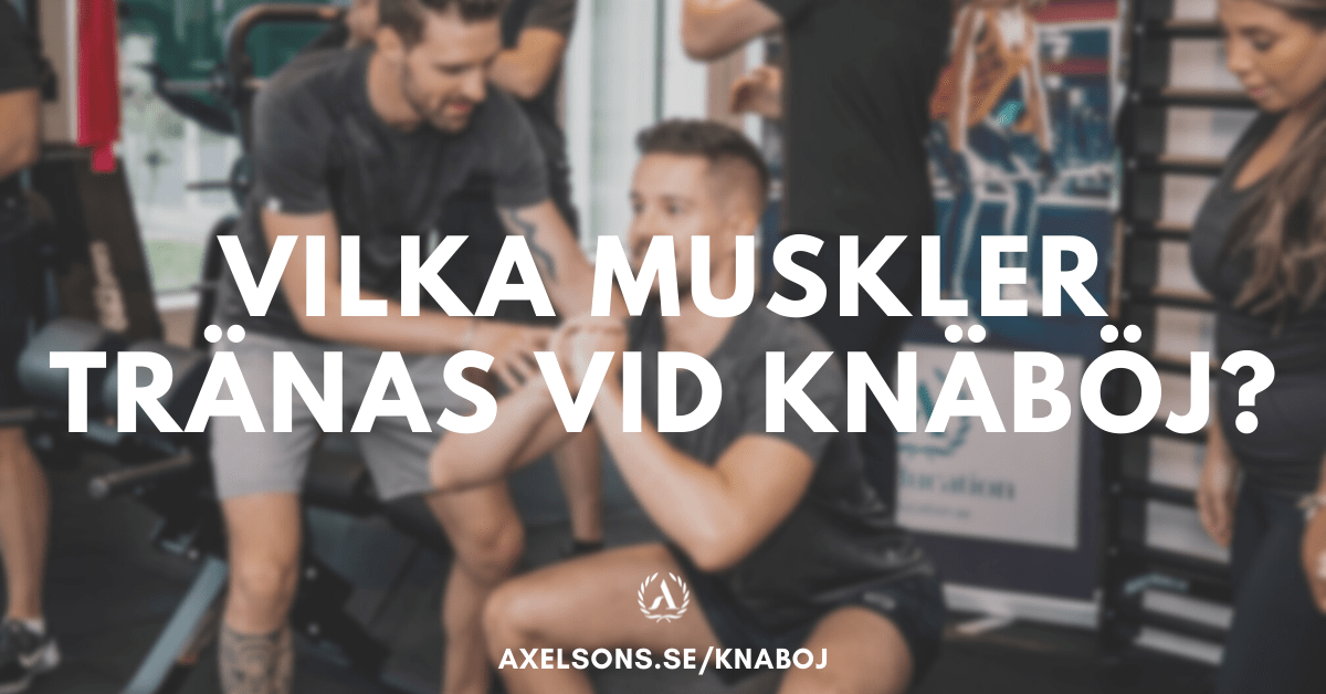 knäböj muskler